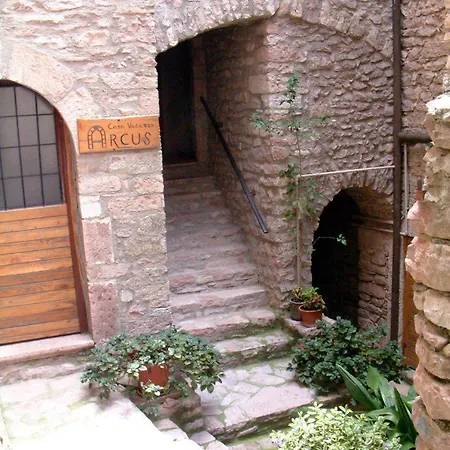 Arcus Vier Ginestra * Macerino